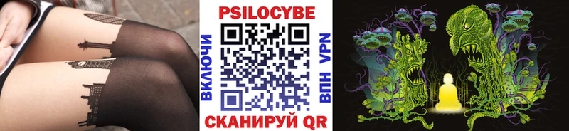 Купить закладки  Клинцы  Галлюциногенные грибы Cubensis 